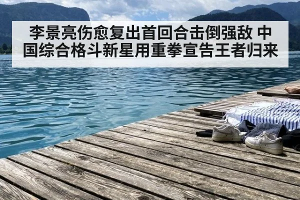 李景亮伤愈复出首回合击倒强敌 中国综合格斗新星用重拳宣告王者归来